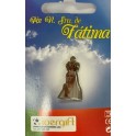 Pin Our Lady of Fatima